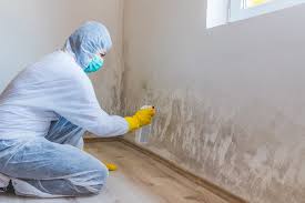 Why You Should Choose Our Mold Remediation Services in Santa Venetia, CA